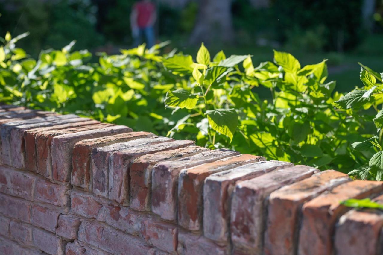 Bed & Breakfast Les Myrrhophores Et Spa, D'hotes Et De Charme Abbeville