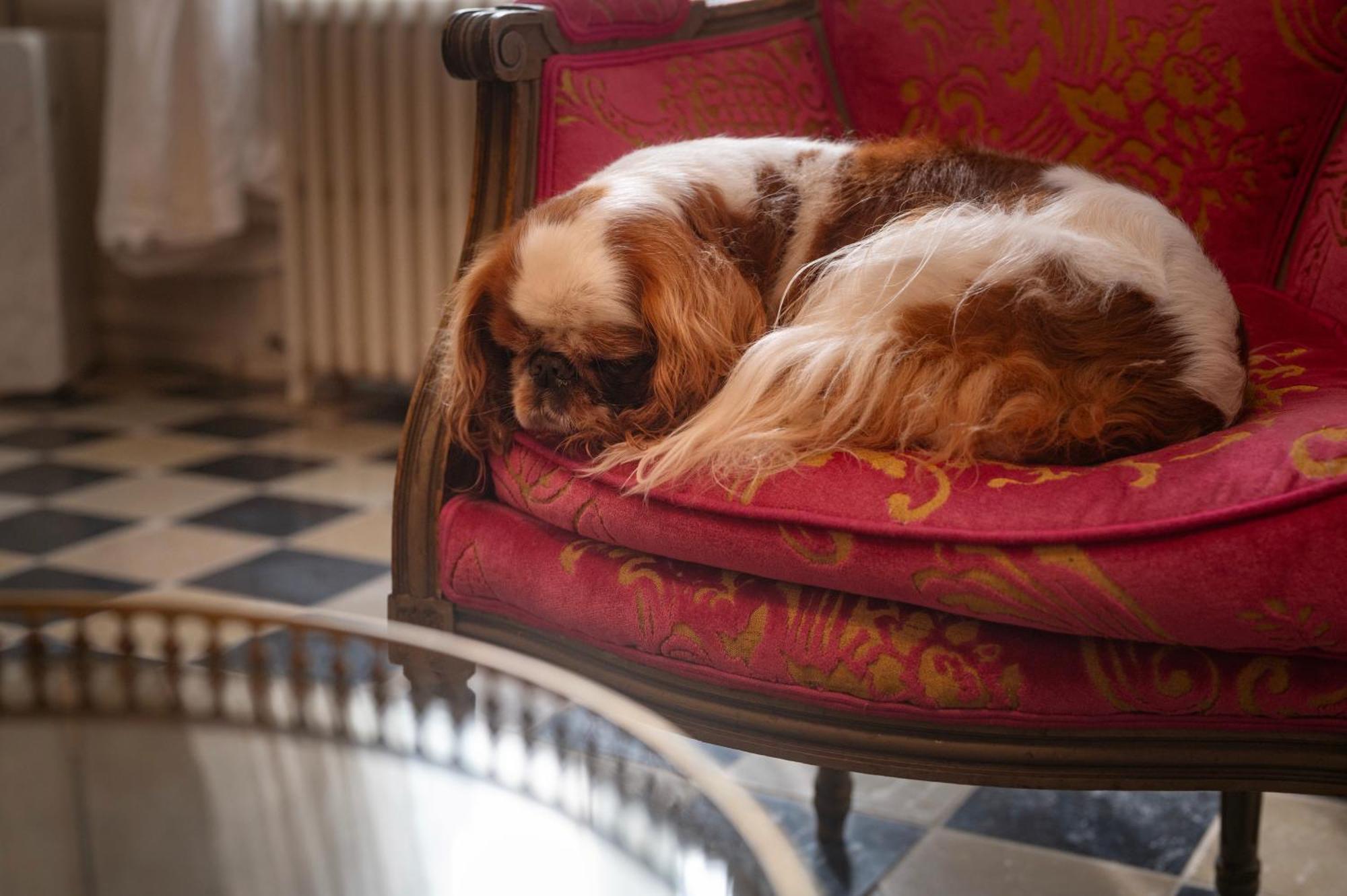 Bed & Breakfast Les Myrrhophores Et Spa, D'hotes Et De Charme
