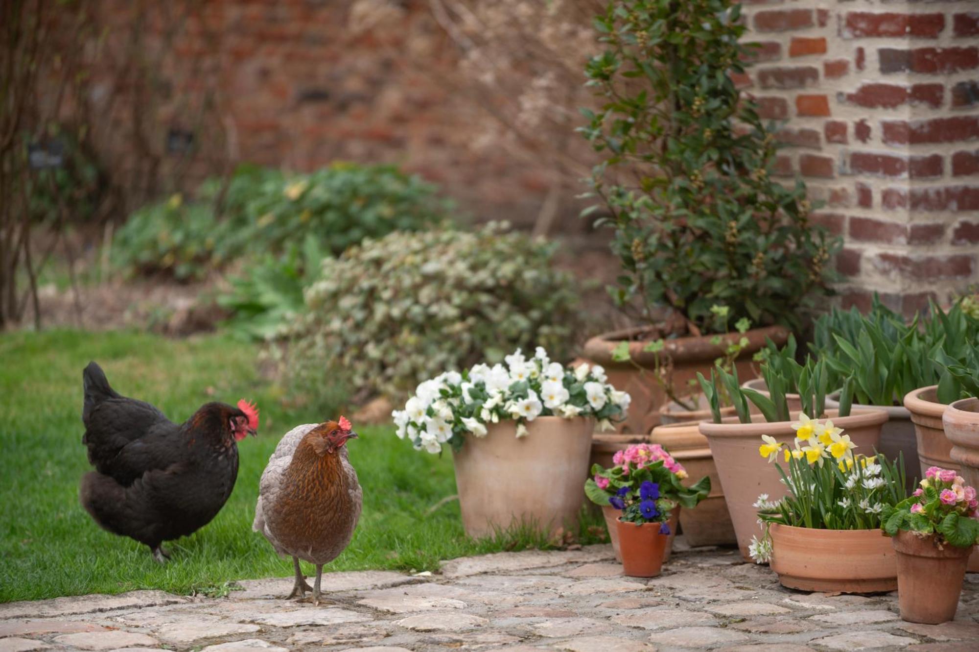 Les Myrrhophores Et Spa, D'hotes Et De Charme Bed & Breakfast Abbeville